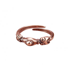 Ring from Rurik's settlement